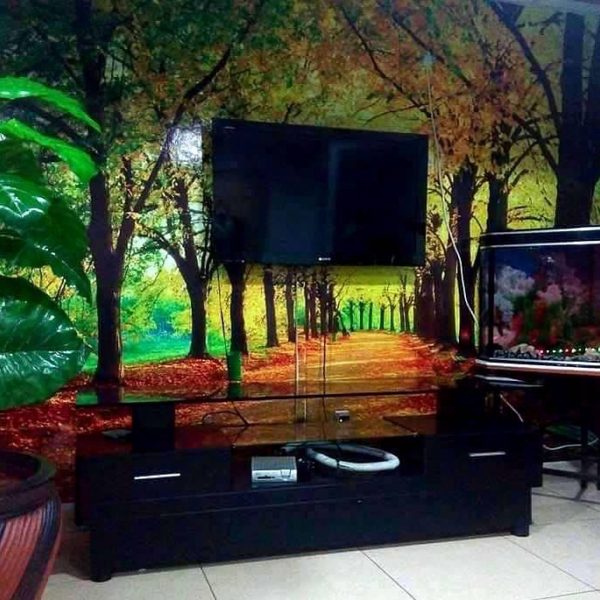 3d forest Wall Mural