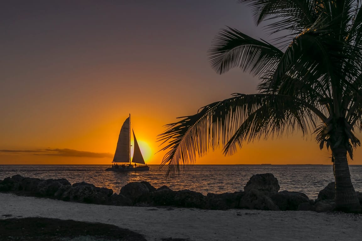 Palm tree beach sunset scenery 