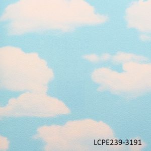 Sky Ceiling Wallpaper CPE239-3191