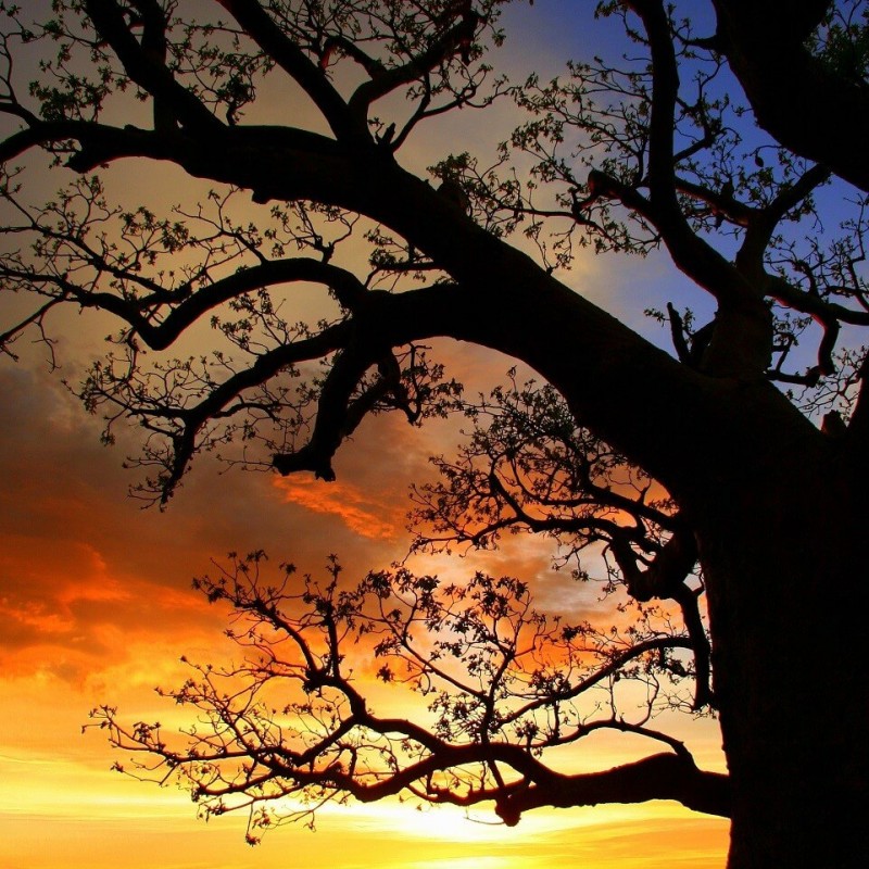 Wallpaper Kenya Call +254741889754 Wallpaper Kenya.