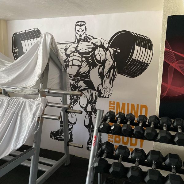 Weight lifting gym sports murals by Wallpaper Kenya