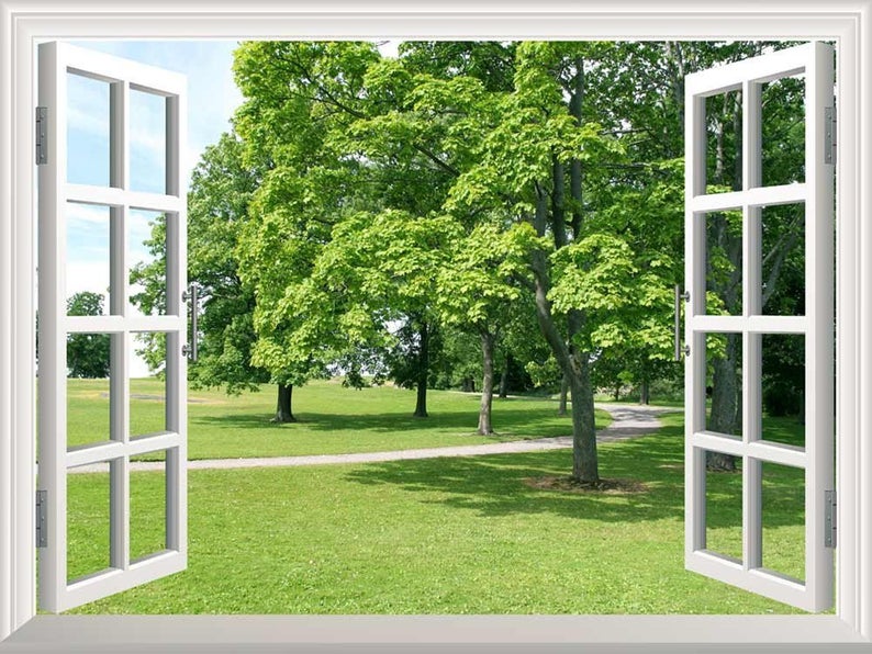 Nature lush green lawn and trees forest scene through the window