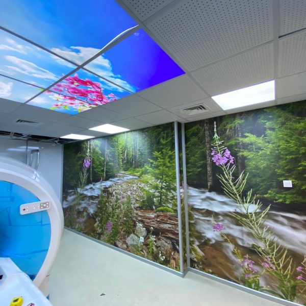Nature ceiling wallpaper. Healthcare wall art.