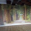 3d forest path mural