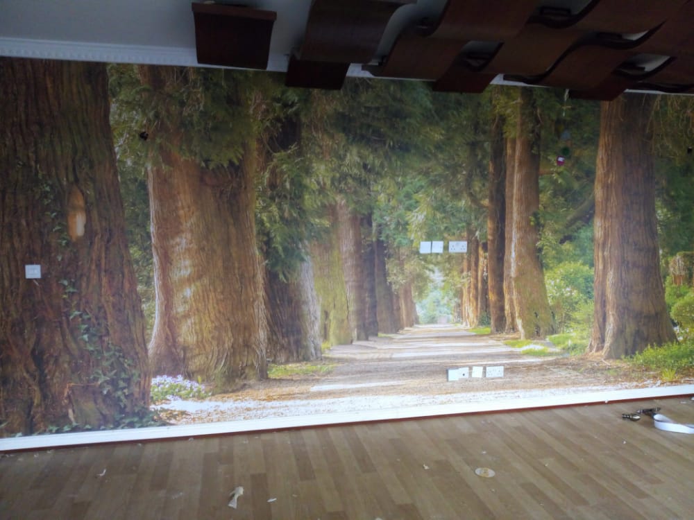 3d forest path mural