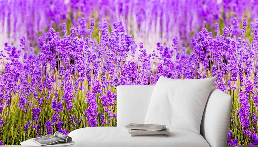 Lavender Purple Flower Full Wall Mural Wallpaper