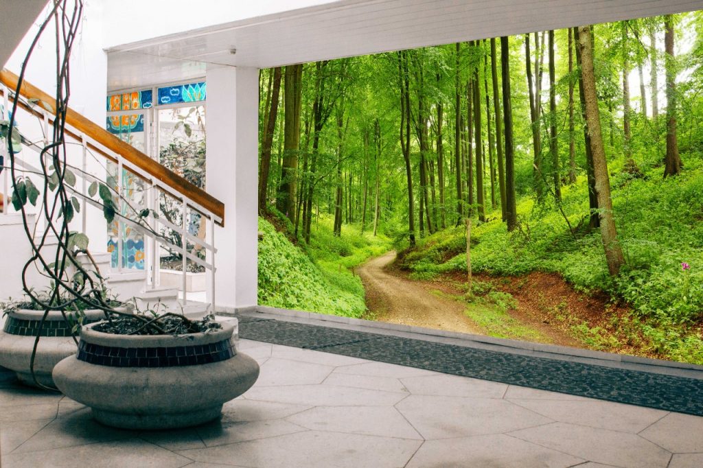 Personalized optical illusion forest path 3d wallpaper