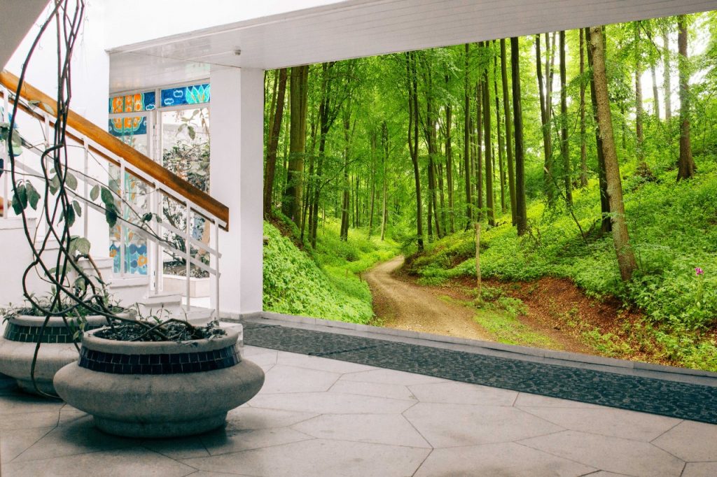 Personalized optical illusion forest path 3d hotel wallpaper.