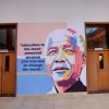 Educational, professional pink aesthetic wall art mural. Nelson Mandela Motivational Library Wallpaper. African mural painting.