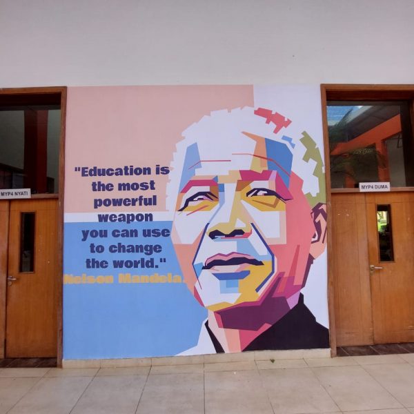 Educational, pink aesthetic mural. Nelson Mandela Motivational Wall Art. African mural painting.