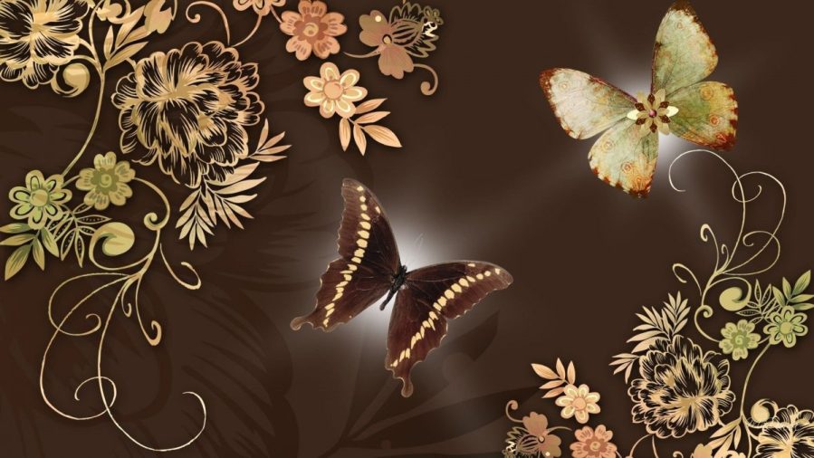 Butterfly background coffee shop wallpaper.