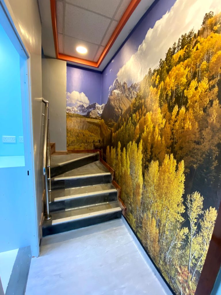 Nature landscape stairwell aesthetic corporate wallpaper. 